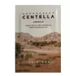 Фото Тестер Сироватка для обличчя заспокійлива ампульна SKIN1004 Madagascar Centella Ampoule 30 ml